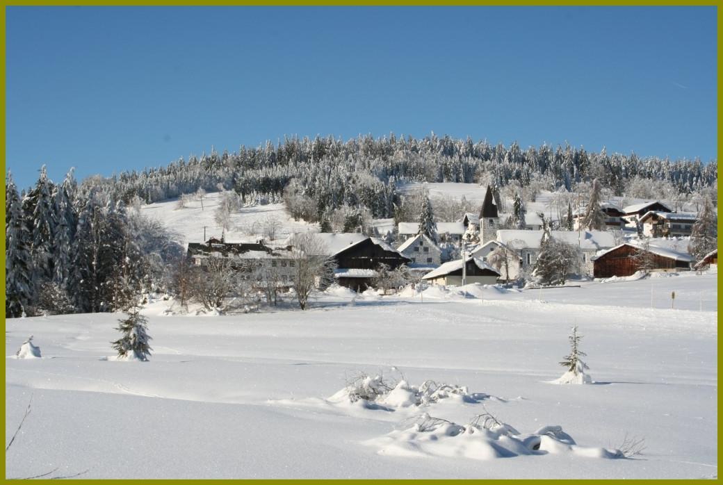 Pension Philippsreut "Zum Pfenniggeiger" Am Goldsteigwanderweg Экстерьер фото