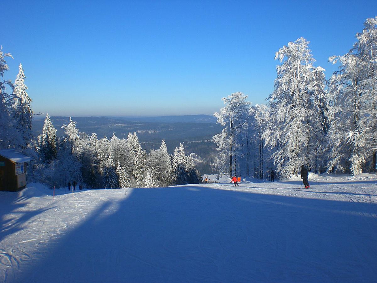 Pension Philippsreut "Zum Pfenniggeiger" Am Goldsteigwanderweg Экстерьер фото